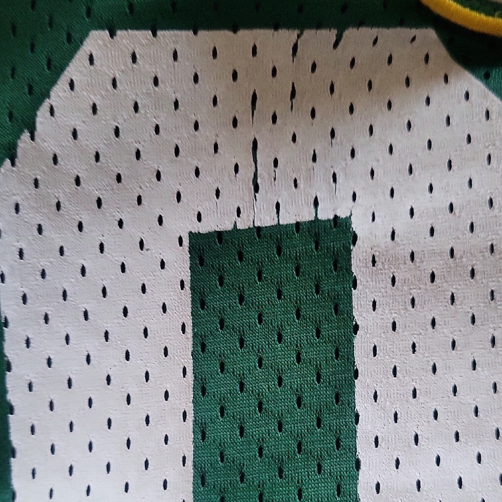 ProFANity Green BAY jersey Tote Purse With Brett Favre Pin - Picture 7 of 7